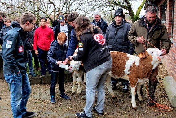 2016-02-10_strijtemse_verenigingen_halloweentocht__23_a