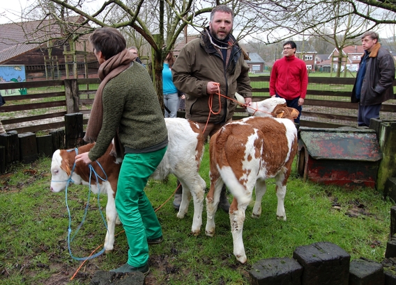 2016-02-10_strijtemse_verenigingen_halloweentocht__31_a