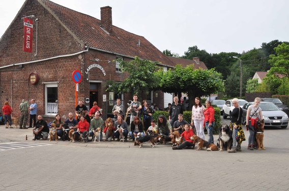Honden_1