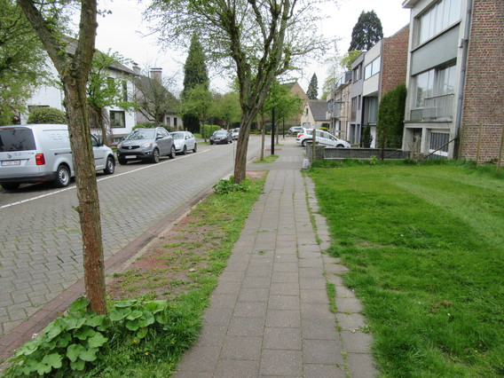 Hofveld_voor_pesticidenvrij_beheer