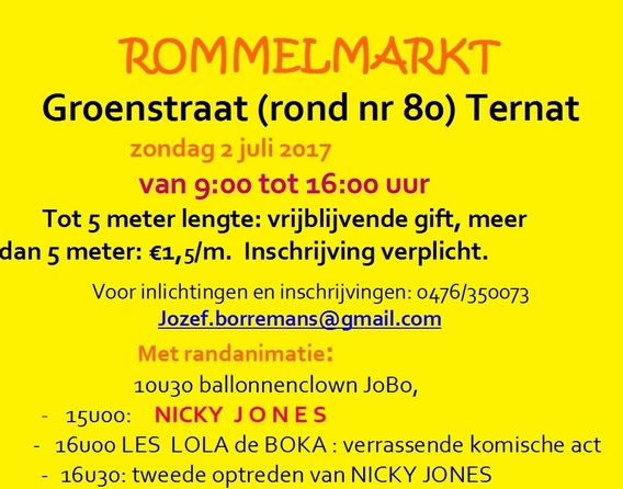 Rommelmarkt_groenstraat_2017_knip