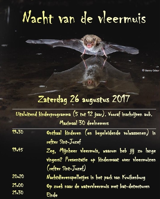 Nachtvleermuisaffiche2017