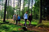 Editiepajot_bart_devill___wandeling_nieuwsbrief