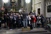 Cantope_basiliek__nieuwsbrief