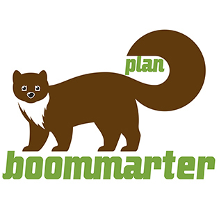 Logo_boommarter