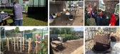 Compost_nieuwsbrief