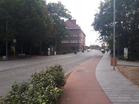Basilarkenvesr