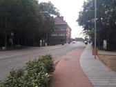 Basilarkenvesr_nieuwsbrief