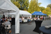 Editiepajot_bart_devill___wijkfeest_gravenhof_nieuwsbrief