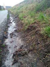 Stinkende_beek_in_pajottenland_nieuwsbrief