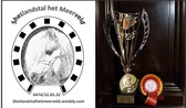Shetland_pony_het_meerveld___1__nieuwsbrief