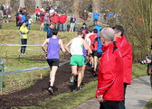 2020-02-29__stratenloop_-_pallieters__4__nieuwsbrief
