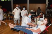 Editie_galmaarden_bloed_2__kopie__nieuwsbrief