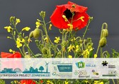 Zennepark_2_nieuwsbrief
