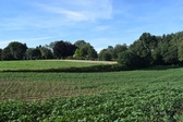 Beersel_wandelgemeente_nieuwsbrief