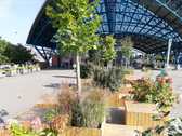 Vdr_halle2_nieuwsbrief