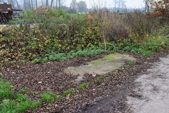 Editie_galmaarden_bank_weg_2__kopie_