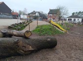 Groen_nieuwsbrief