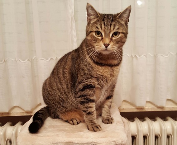 Foto_katje_kamiel