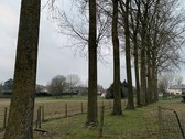 Foto_3_kerkhofstraat__kopie__nieuwsbrief