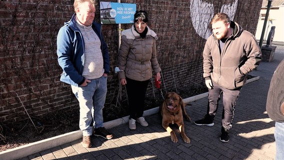 Hondenwandeling_herne_entrum_feb_2022__8_