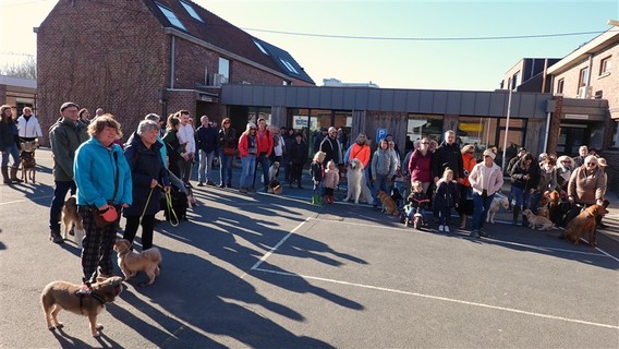 Hondenwandeling_herne_entrum_feb_2022__20_