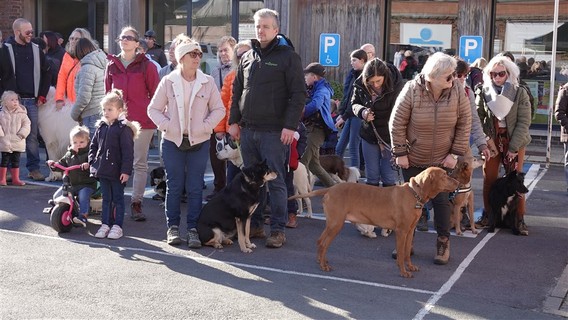 Hondenwandeling_herne_entrum_feb_2022__29_