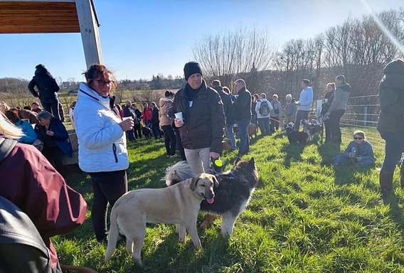 Hondenwandeling_herne_entrum_feb_2022__32_