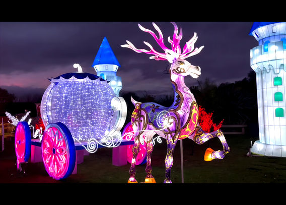 Colorful_deer_-_carriage__3_