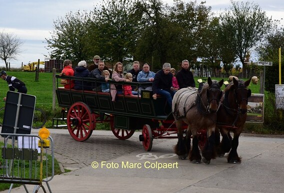 Editie_galmaarden_paarden_museum_3__kopie_