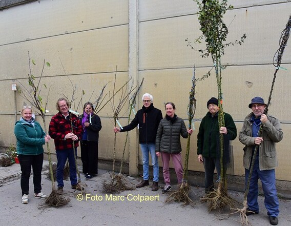 Editie_galmaarden_bomen_2__kopie_