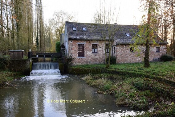 Editie_herne_molen_2__kopie_