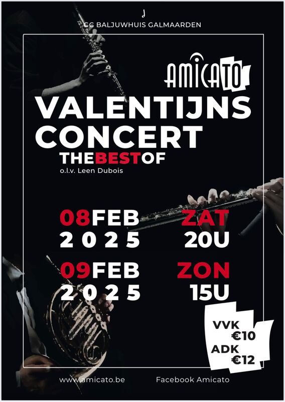 Valentijnsconcert__2025_flyer__1_