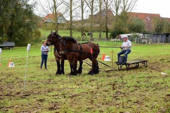 Editie_galmaarden_paarden_museum_9__kopie_