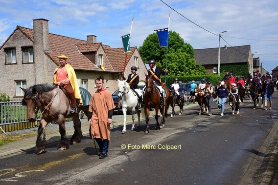 Editie_gooik_paardenprocessie_2__kopie_