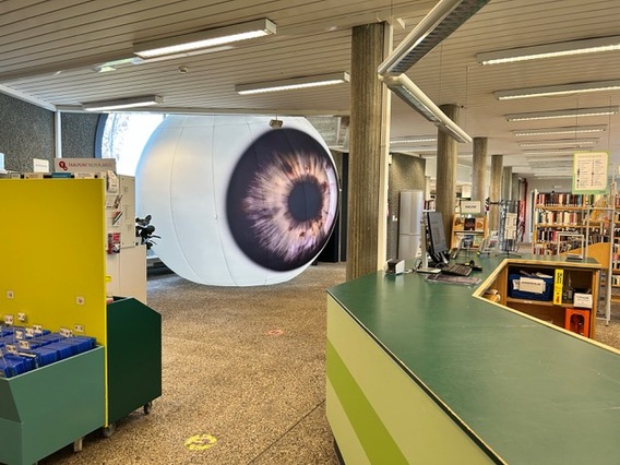 Annoyin_eyes_bibliotheek