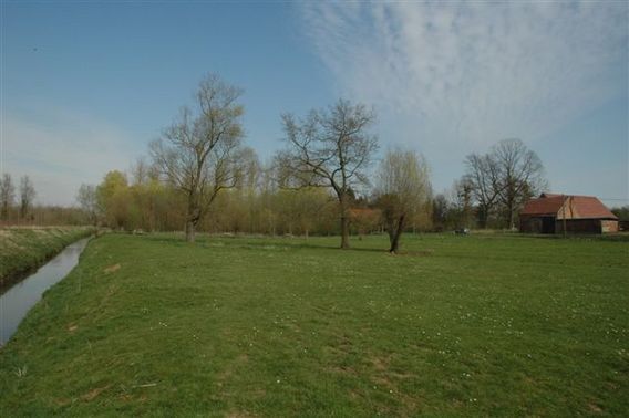 Editiepajot_leeuw_natuurgebied_2