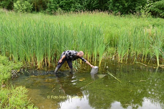 Editie_galmaarden_poel_2__kopie_