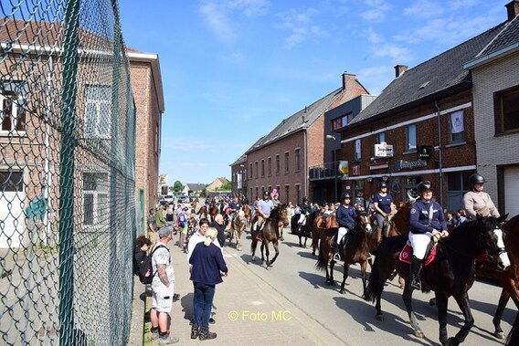 Editie_gooik_paarden_6__kopie_