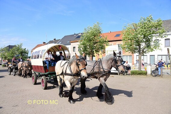 Editie_gooik_paarden_8__kopie_
