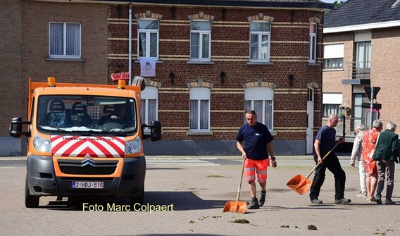 Editie_gooik_paarden_10__kopie_