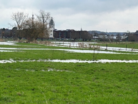 Grote_weide_halle_