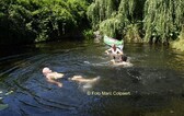 Editie_galmaarden_water_zwemmen_2__kopie__nieuwsbrief