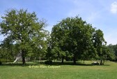 Editie_galmaarden_baljuwhuis_tuin_2__kopie__nieuwsbrief