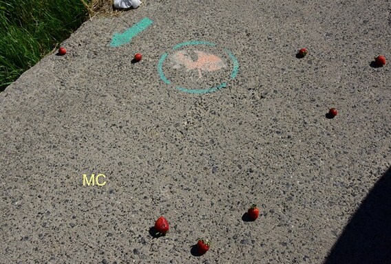 Editie_galmaarden_afval_3__kopie_