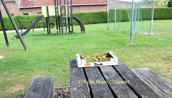 Editie_galmaarden_flieterkouter_peren_2__kopie_