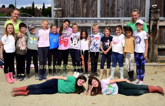 Editie_galmaarden_hippisch_paarden_4__kopie_