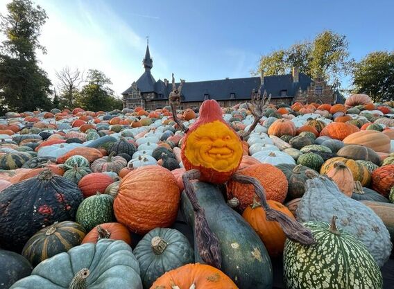 71603a15-6246-41e3-54fe-f5d159c6bd6f