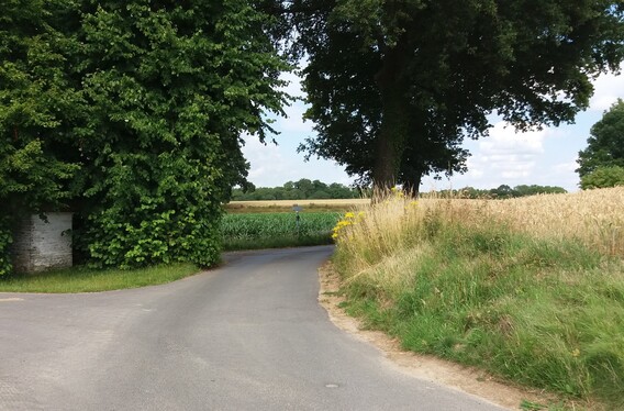 A_wandelen_