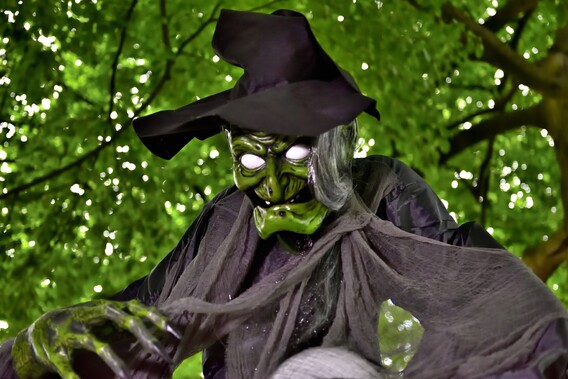 Dsc_6265_01